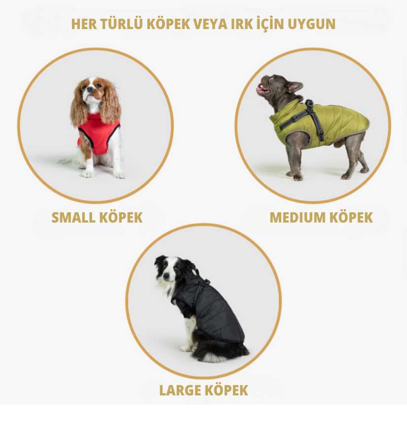 Pawlara™ 3'ü 1 Arada Ceket