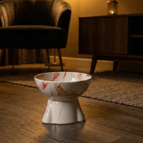 Yüksek Şura Mama Kabı - Pawlara