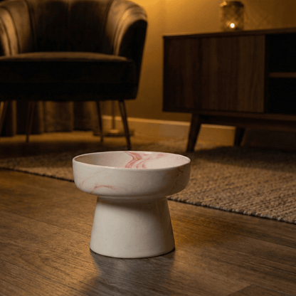 Yüksek Şura Mama Kabı - Pawlara